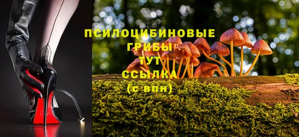 герыч Зерноград