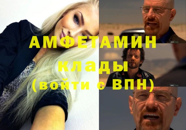 молекула духа Заволжье