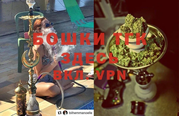 молекула духа Заволжье