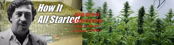 COCAINE Заводоуковск
