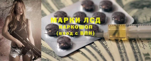 молекула духа Заволжье