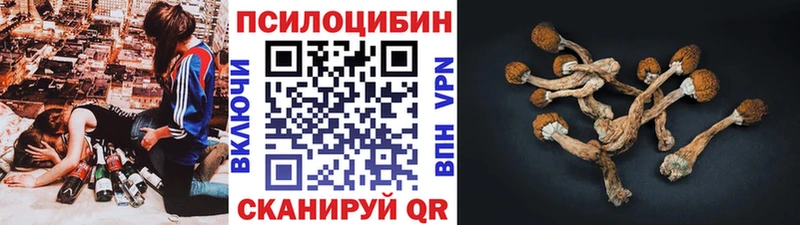 Купить закладки  Карталы  Псилоцибиновые грибы Psilocybine cubensis 