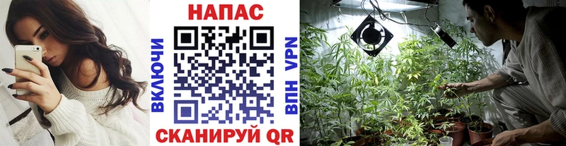 Купить где  Карталы  Канабис SATIVA & INDICA 